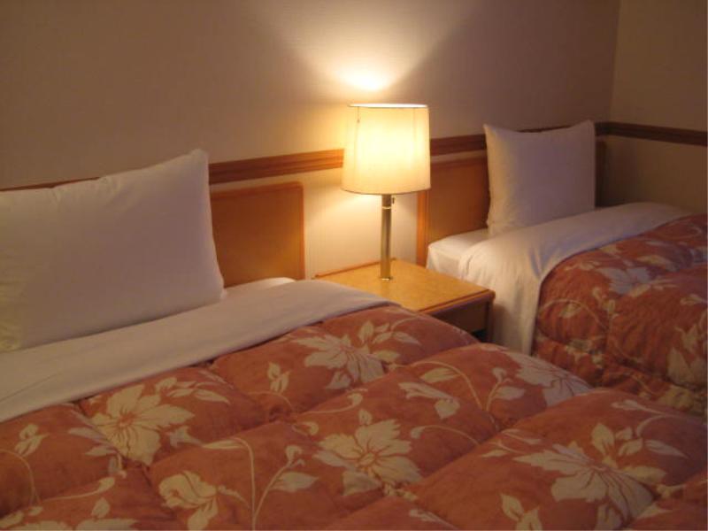 Toyoko Inn Niigata Ekimae Εξωτερικό φωτογραφία